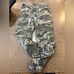 Express Green and Gray Cargo Pants